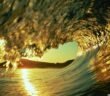 Golden Wave